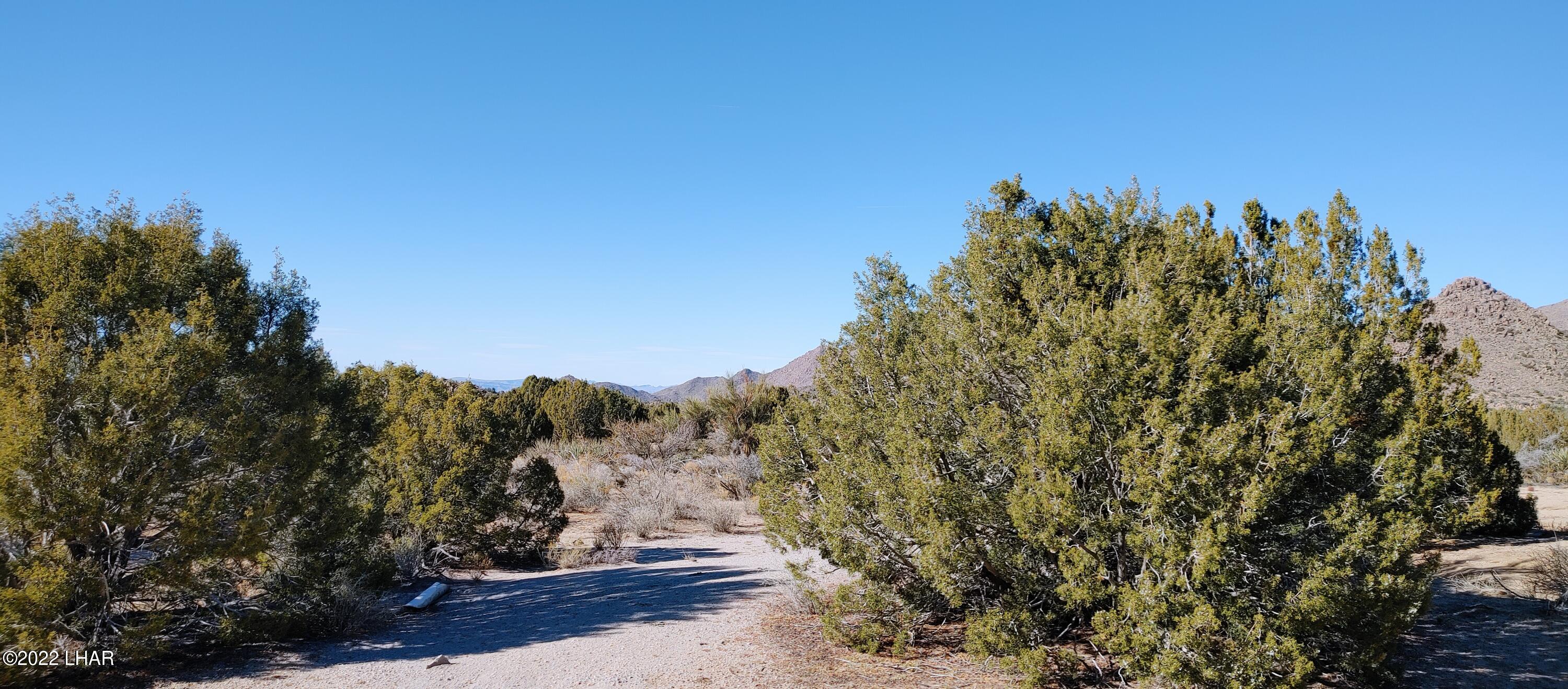 3289 South Gold Mine Road Yucca, AZ 86438 - Photo 7 of 74 Lush landscape