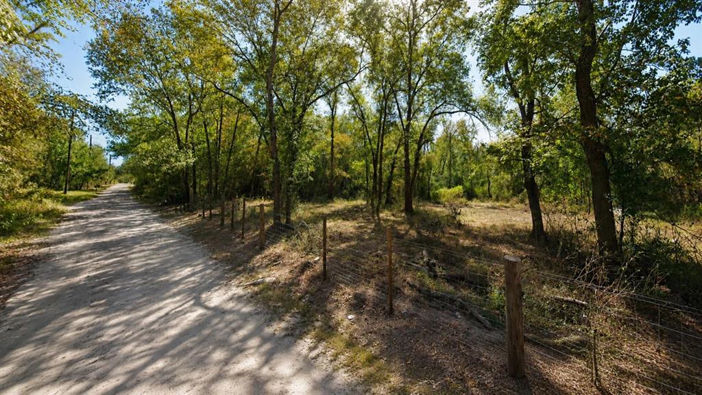 Lot 7 Dryden Street Trinity, TX 75862 - Photo 6 of 6 a view of outdoor space and yard