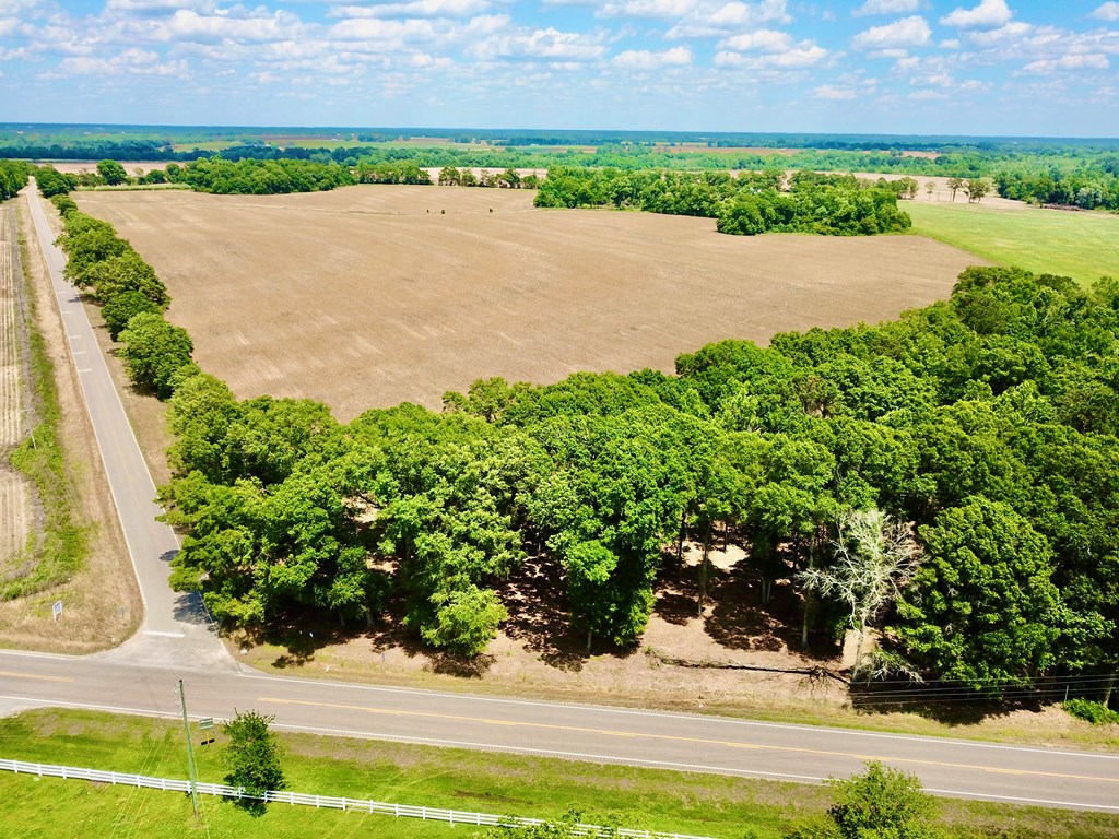 92 County Road 92 Slocomb, AL 36375 - Photo 17 of 58
