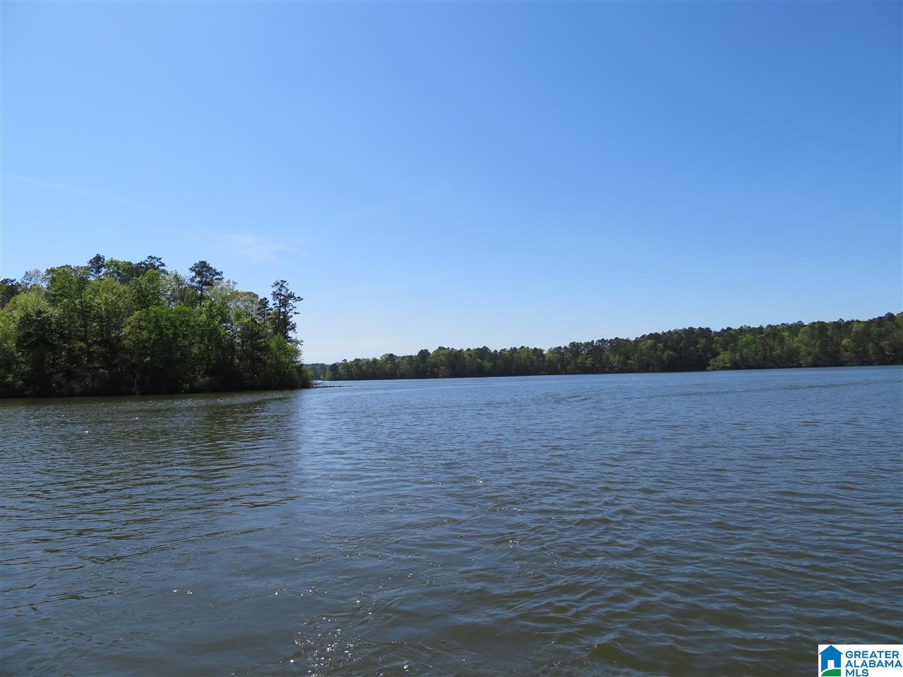 Lot 14 Eagle Point Trace, Unit 14 Alexander City, AL 35010 - Photo 7 of 13
