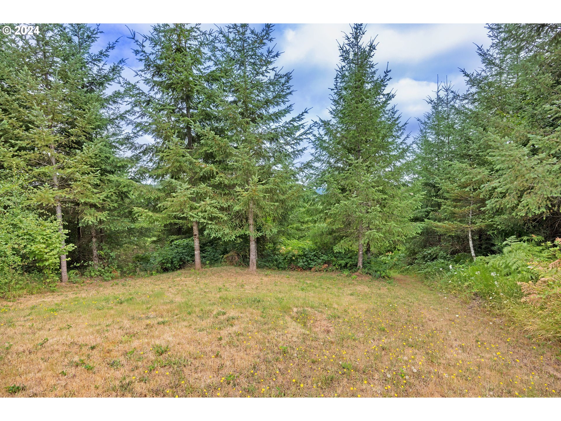 24645 Butler Road Junction City, OR 97448 - Photo 47 of 48 Gallery Image 47