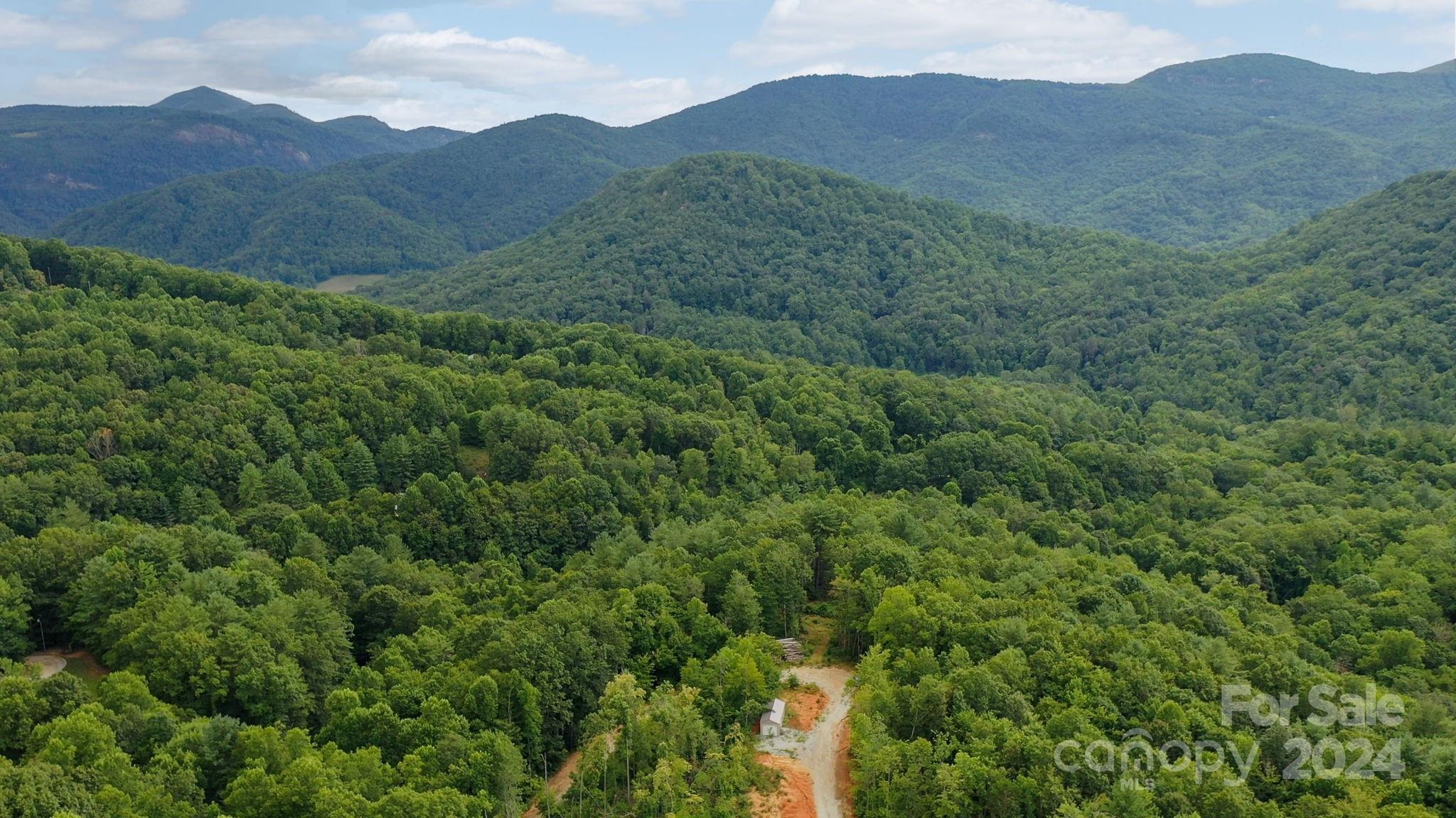 a view of a mountain range with lush green forest