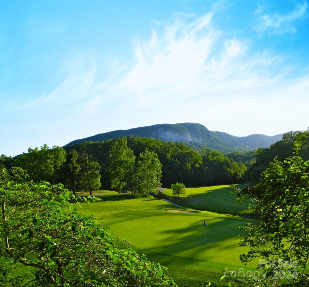 635 Slick Rock Road Hendersonville, NC 28792 - Photo 16 of 24 a view of a grassy field with mountains in the background