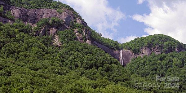 635 Slick Rock Road Hendersonville, NC 28792 - Photo 19 of 24 a view of a garden with plants and large trees
