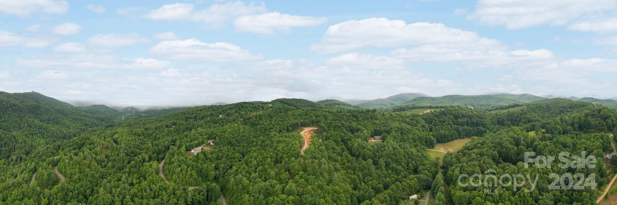 635 Slick Rock Road Hendersonville, NC 28792 - Photo 24 of 24 a view of a bunch of trees in a field