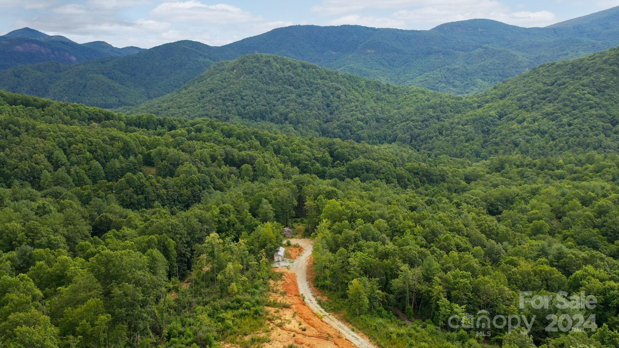 635 Slick Rock Road Hendersonville, NC 28792 - Photo 3 of 24 a view of a lush green hillside and a houses