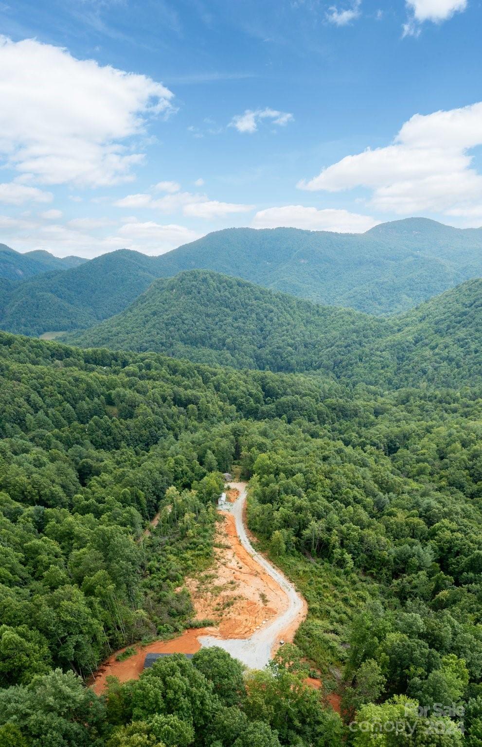 635 Slick Rock Road Hendersonville, NC 28792 - Photo 4 of 24 a view of a city with lush green forest
