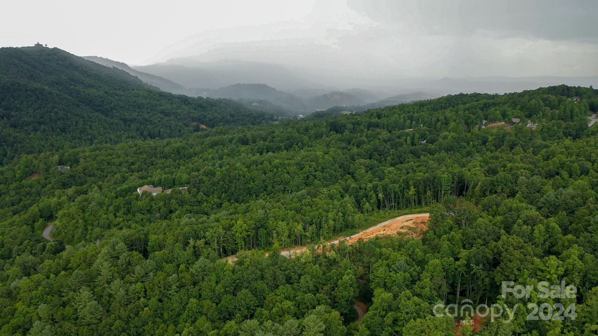 635 Slick Rock Road Hendersonville, NC 28792 - Photo 7 of 24 a view of a lush green space with sea
