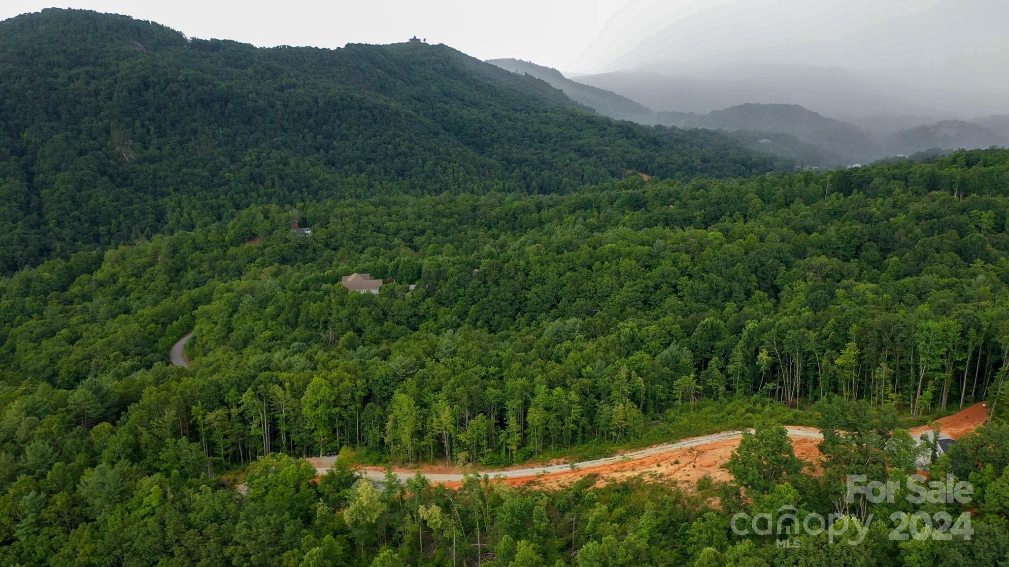 635 Slick Rock Road Hendersonville, NC 28792 - Photo 9 of 24 a view of a lush green forest with a mountain