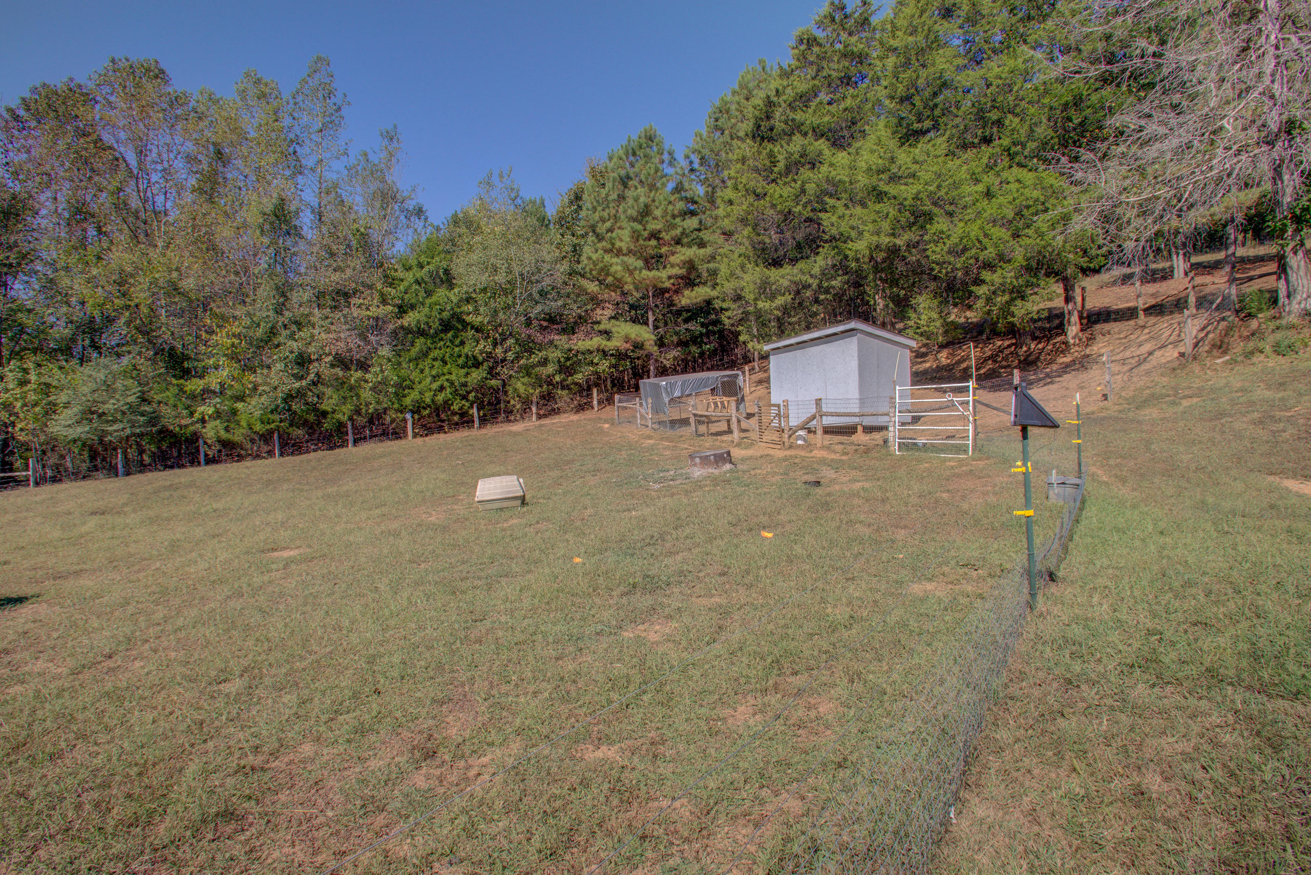 901 Wilson Hollow Road Decatur, TN 37322 - Photo 34 of 43 139A3096_7_8