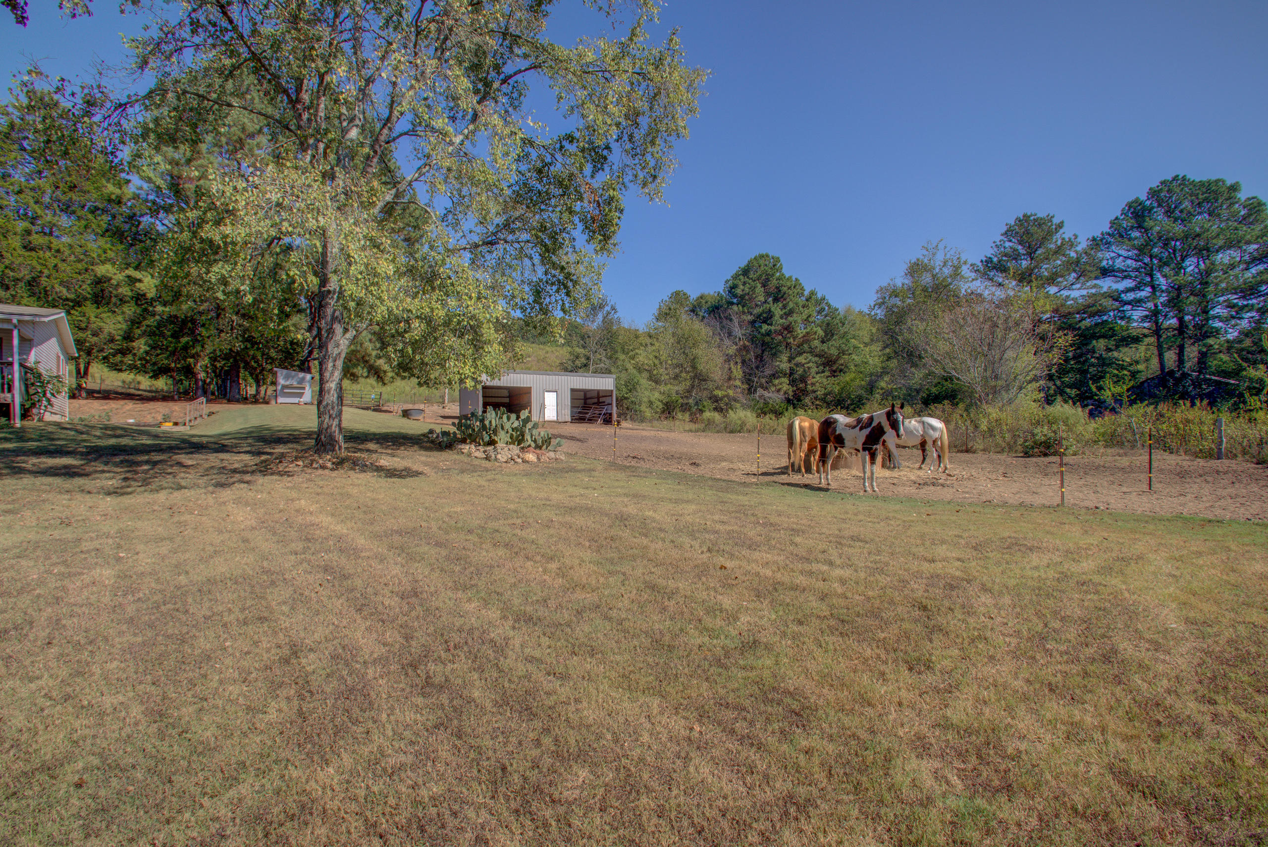 901 Wilson Hollow Road Decatur, TN 37322 - Photo 35 of 43 139A3140_1_2
