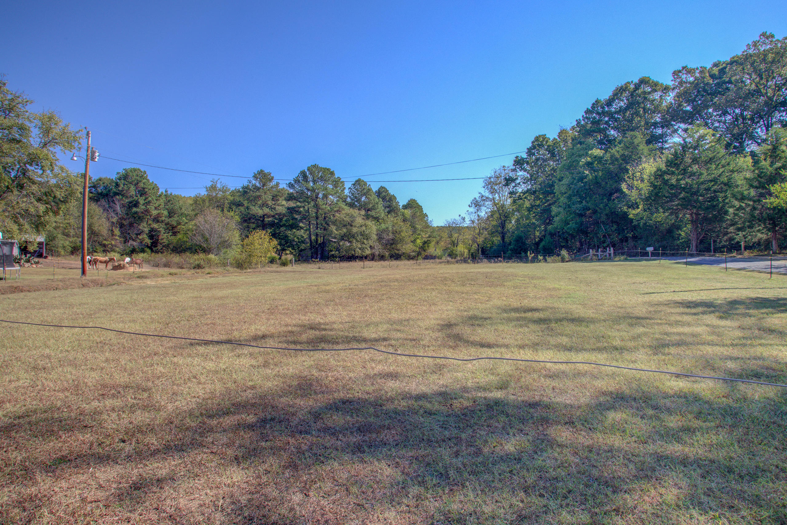 901 Wilson Hollow Road Decatur, TN 37322 - Photo 38 of 43 139A3048_49_50