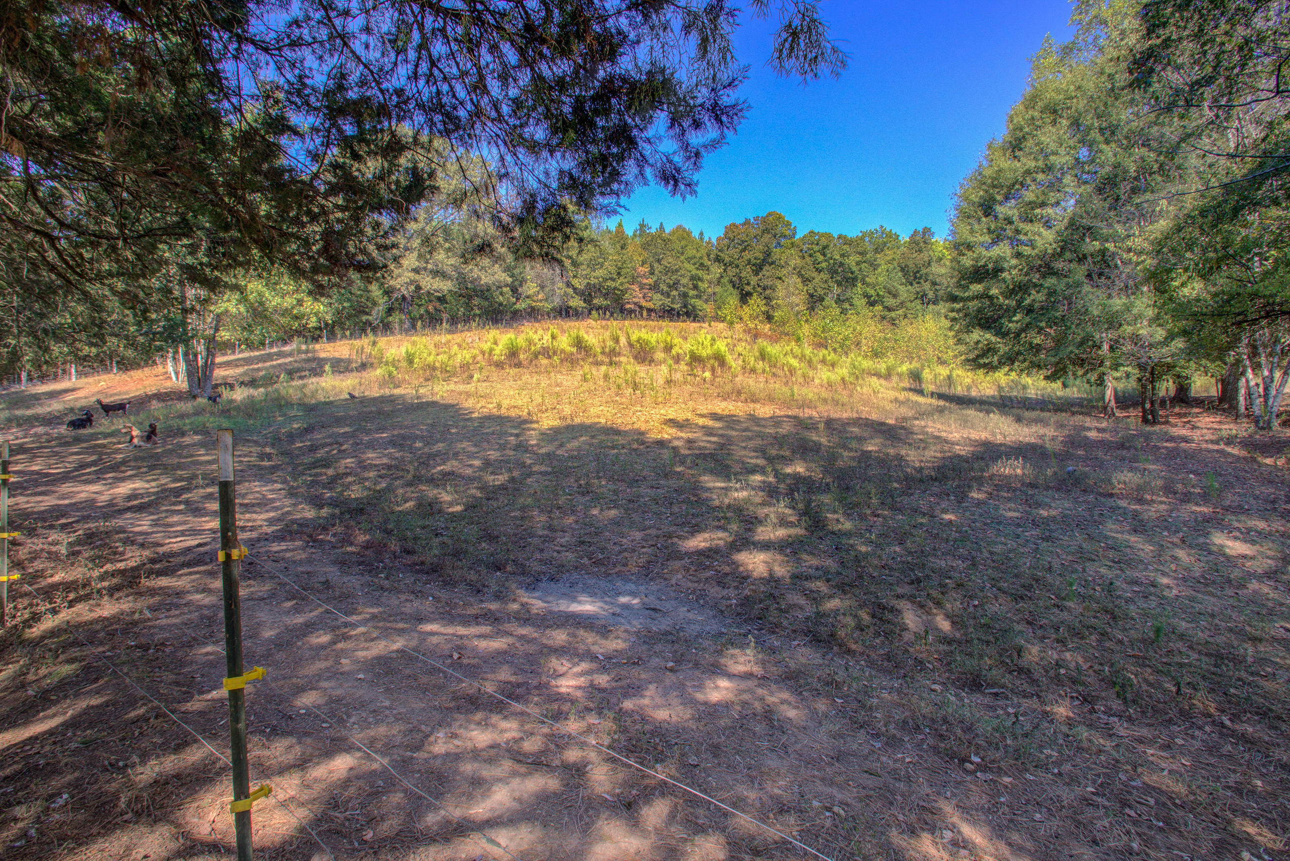 901 Wilson Hollow Road Decatur, TN 37322 - Photo 39 of 43 139A3088_89_90