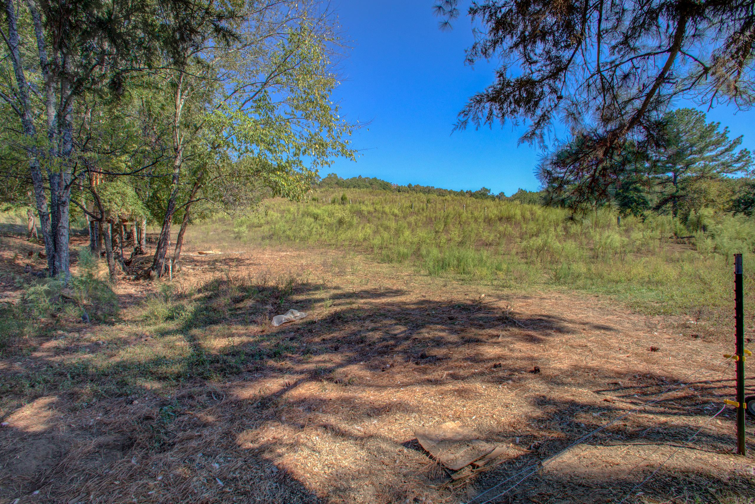 901 Wilson Hollow Road Decatur, TN 37322 - Photo 40 of 43 139A3092_3_4