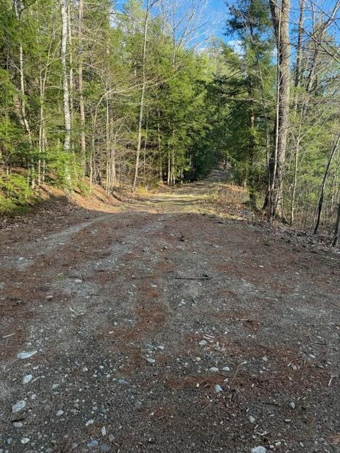 13 County Road Sebago, ME 04029 - Photo 5 of 16