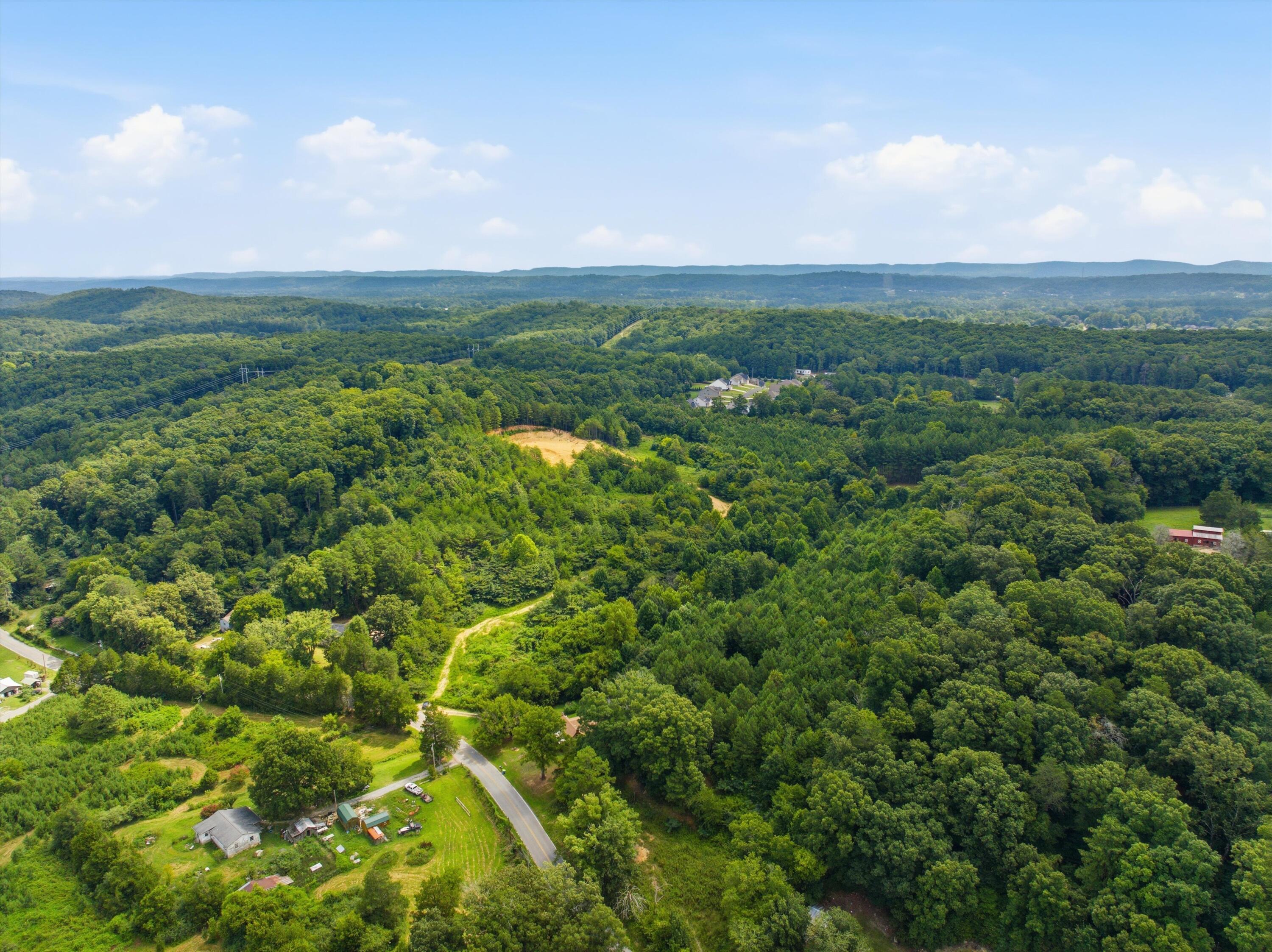 0 Arnold Road Rock Spring, GA 30739 - Photo 10 of 14 05-0_Arnold_Rd_004
