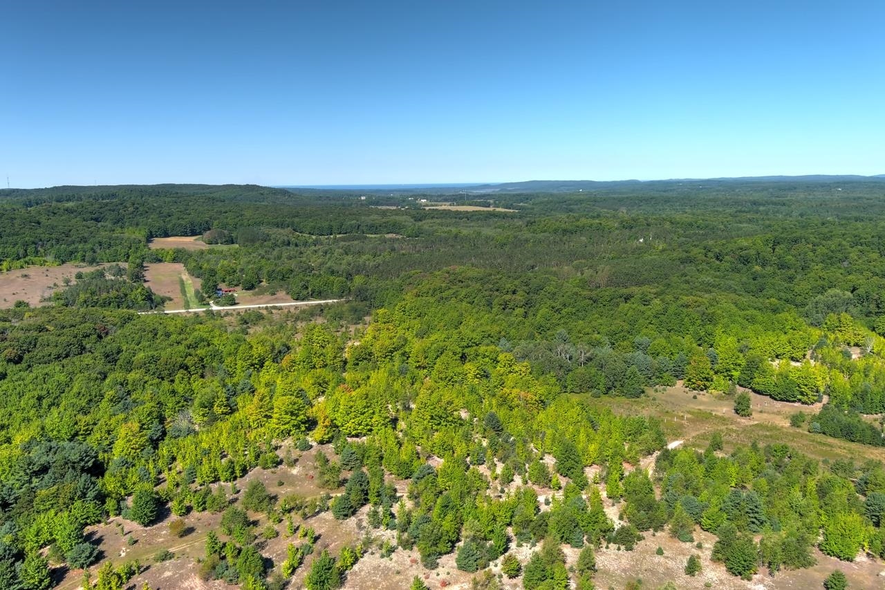A3 Wallaker Road, Unit LOT: A3 Benzonia, MI 49616 - Photo 5 of 17