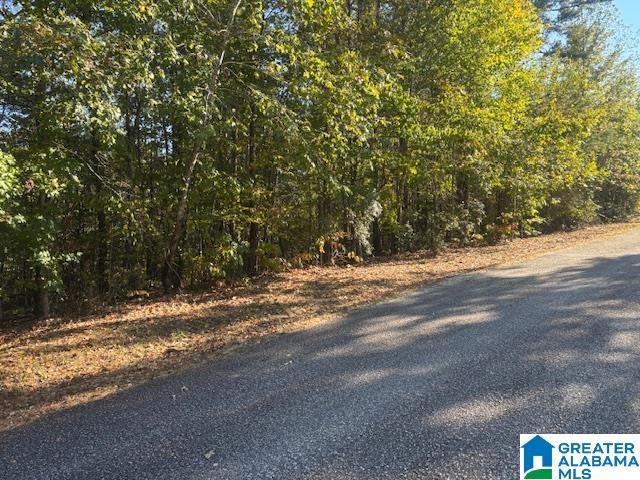 Dogwood Ridge, Unit 55 Wedowee, AL 36278 - Photo 4 of 5