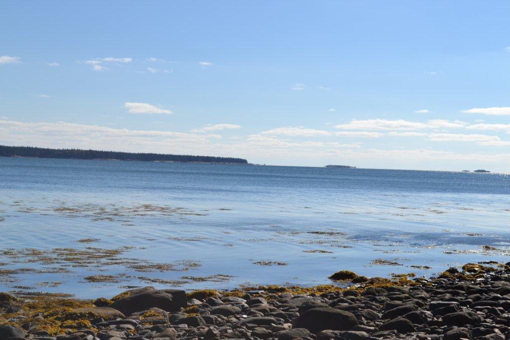 503 Paul Bunyan Road Corea, ME 04624 - Photo 5 of 8 Beautiful Gouldsboro Bay