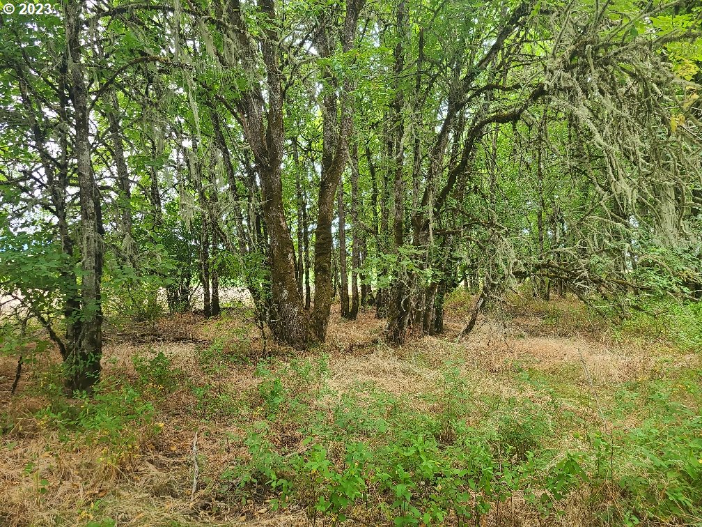 26317 Alpine Road Monroe, OR 97456 - Photo 32 of 35 Gallery Image 32