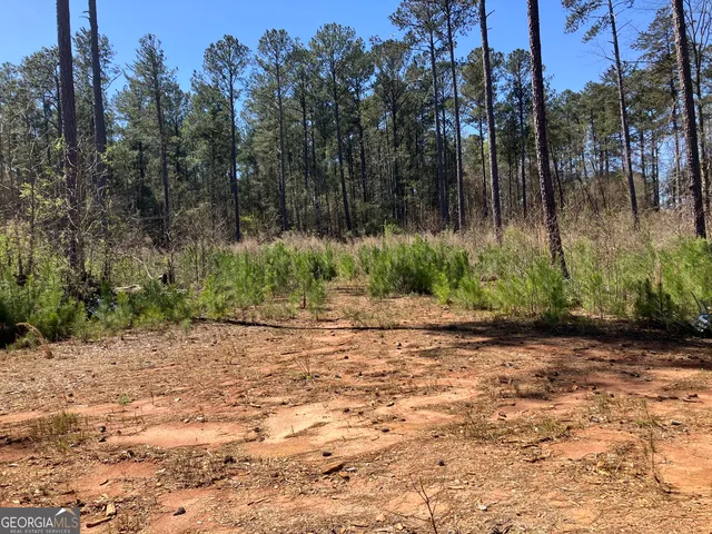 a backyard of a house with large trees