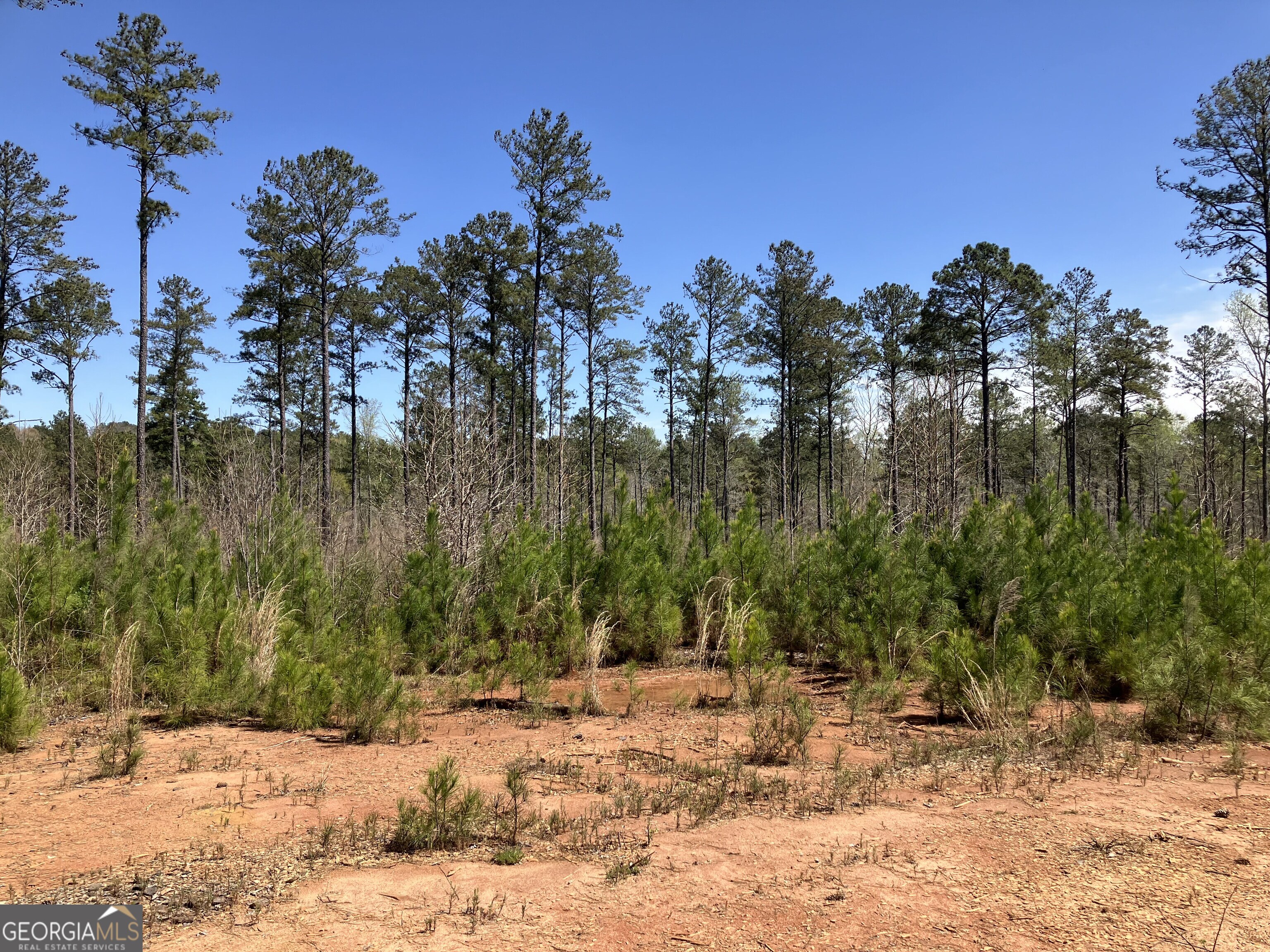2920 Airline Road McDonough, GA 30252 - Photo 2 of 6 a view of a yard covered with snow in the background