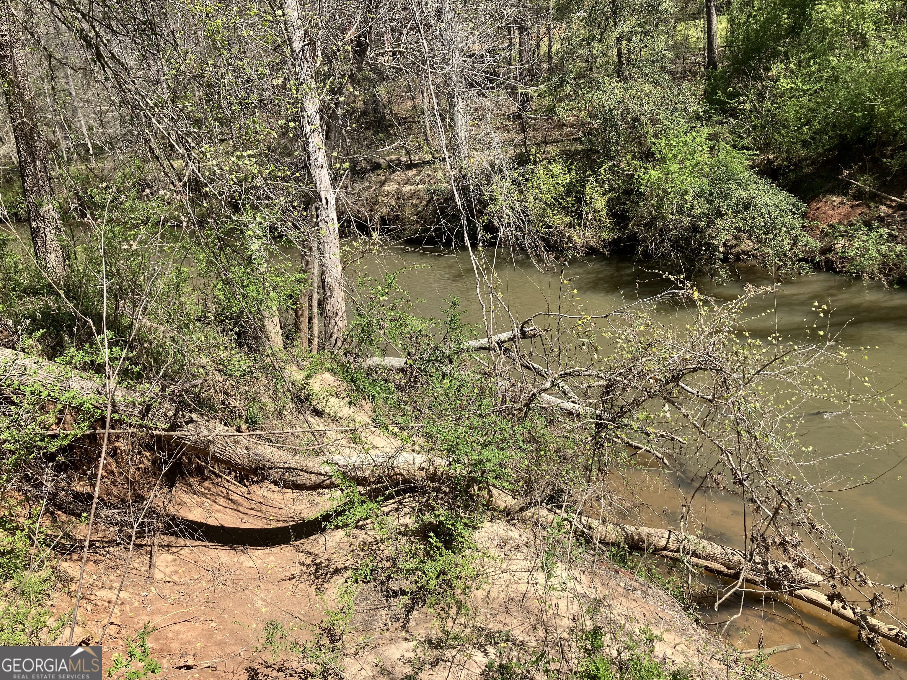 2920 Airline Road McDonough, GA 30252 - Photo 4 of 6