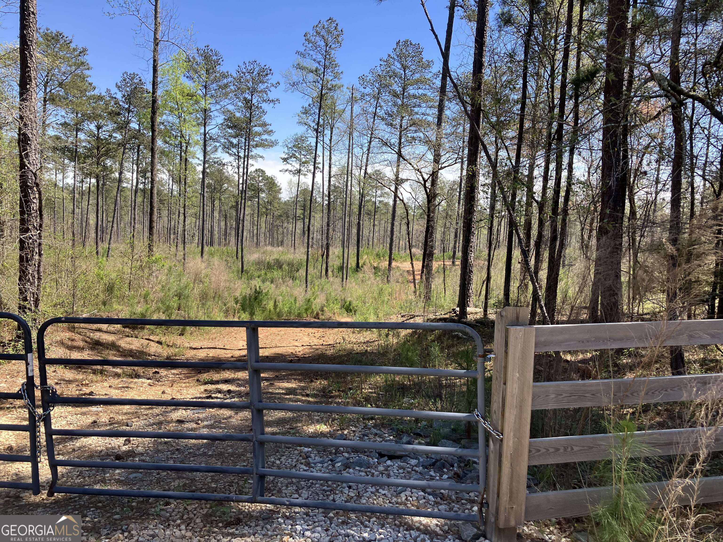 2920 Airline Road McDonough, GA 30252 - Photo 5 of 6 a view of a park with large trees