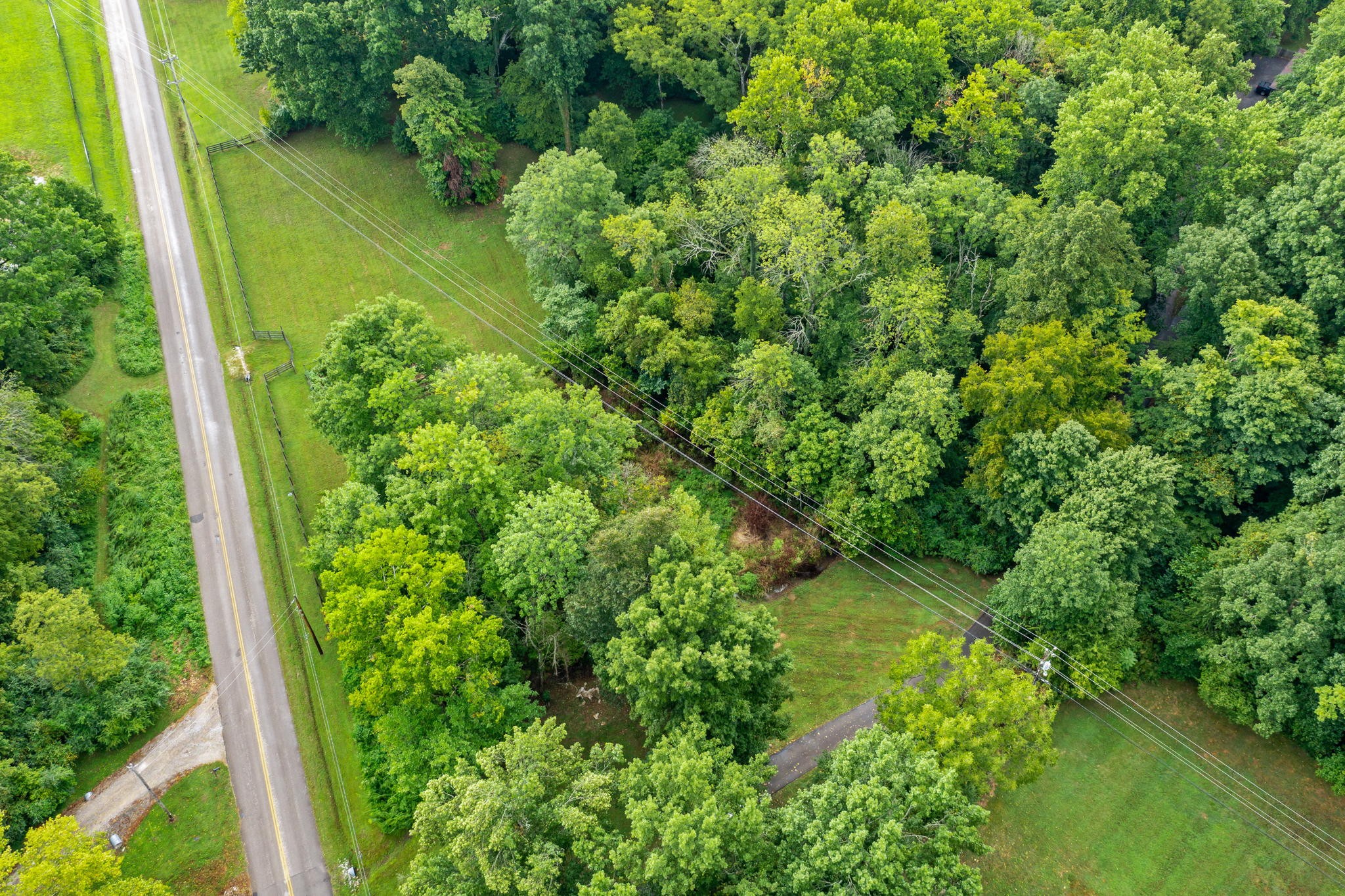 830 Baker Road Columbia, TN 38401 - Photo 67 of 68 a view of a garden