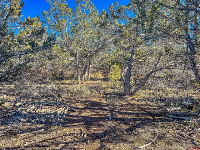 a view of a yard with a garden