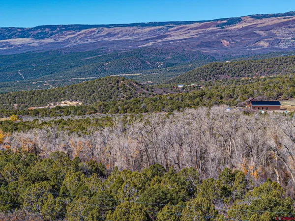 $199,000 | Lot 1 2500th Drive, Cedaredge, CO 81413