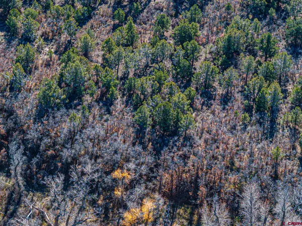 $199,000 | Lot 1 2500th Drive, Cedaredge, CO 81413