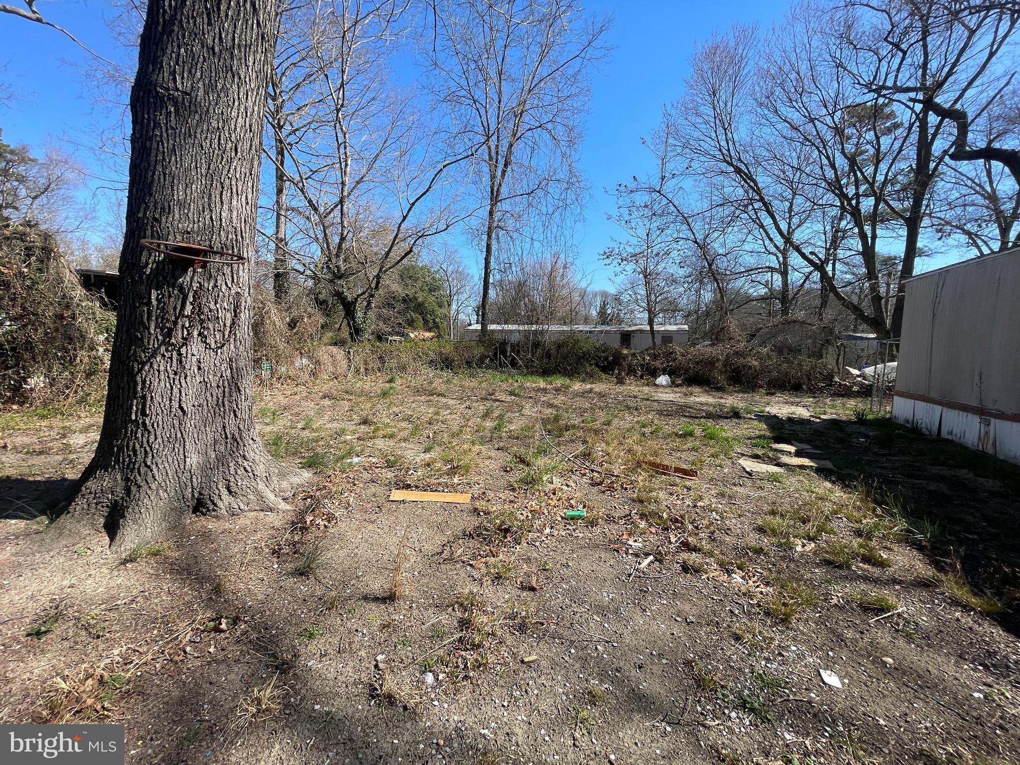 542 Gooseberry Road Millville, NJ 08332 - Photo 16 of 16 a view of backyard with outdoor space