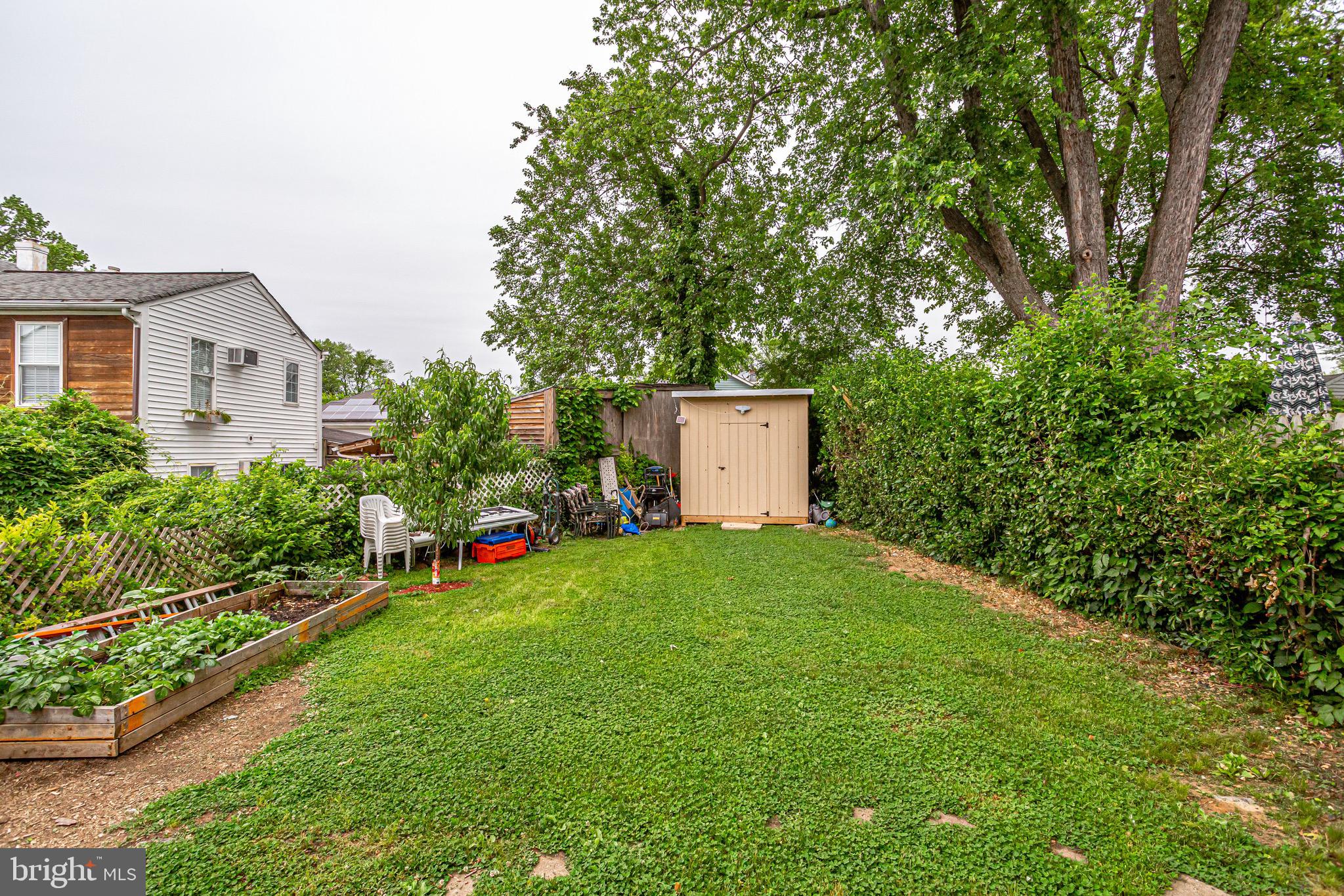 3419 Embry Street Silver Spring, MD 20902 - Photo 27 of 29 BACYARD