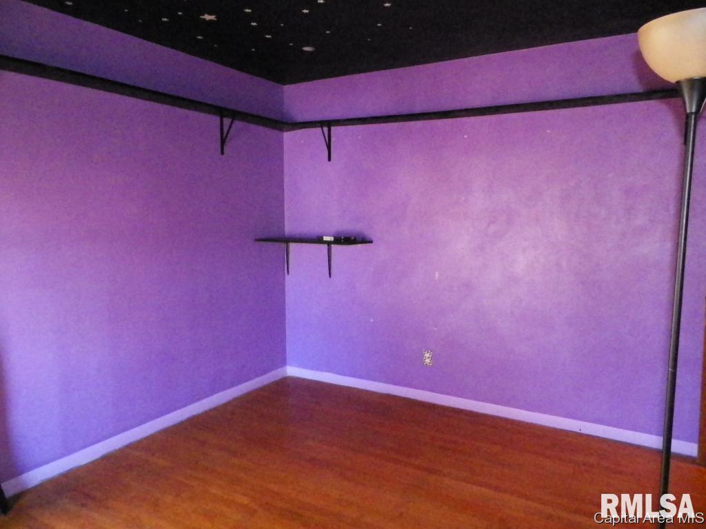 231 South Center Street Oneida, IL 61467 - Photo 17 of 31 Gallery Image 17
