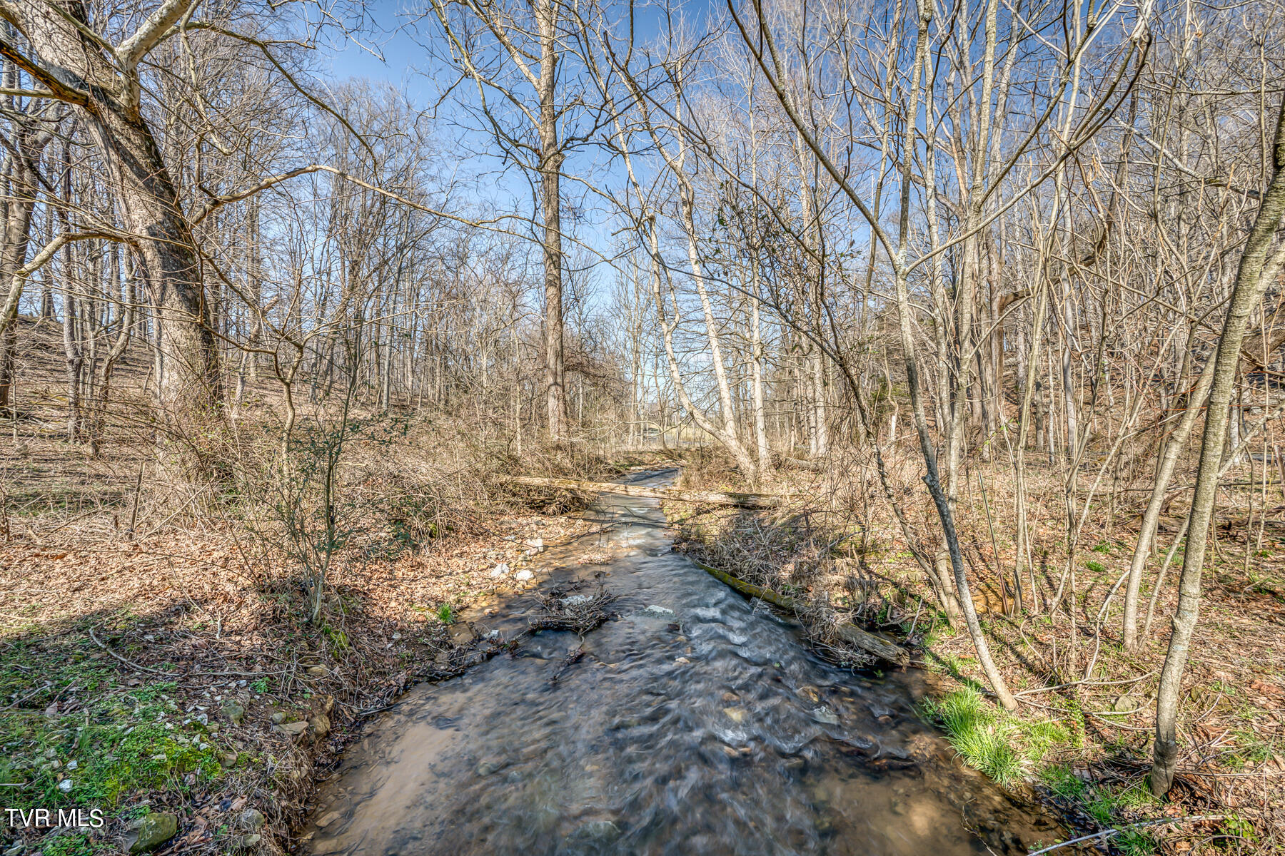 325 Anderson Road Johnson City, TN 37601 - Photo 44 of 57 325 Anderson Rd 44