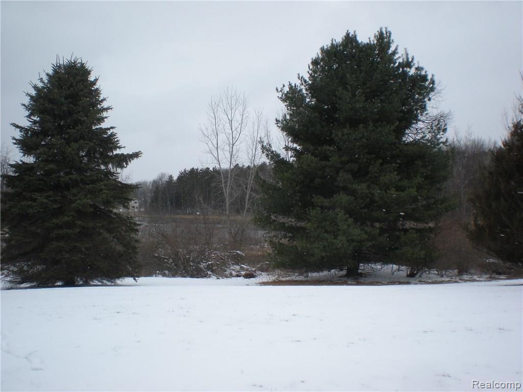 3163 W Road Metamora, MI 48455 - Photo 13 of 13 DSCN1784.JPG
