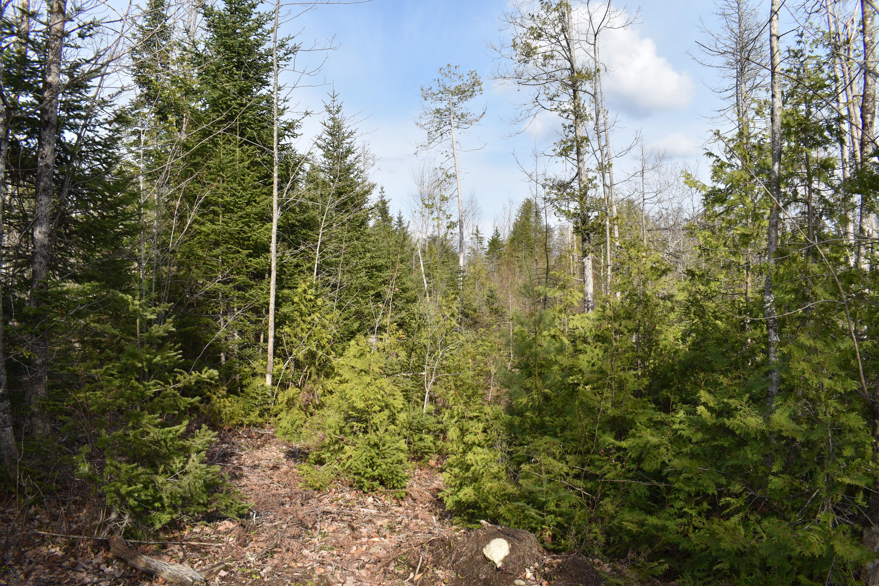 3080 Lee Road Lee, ME 04455 - Photo 13 of 17 DSC_0179