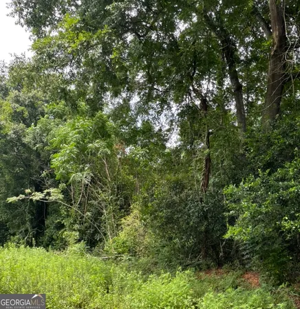 $2,410,000 | 0 Perkins Road, Barnesville, GA 30204