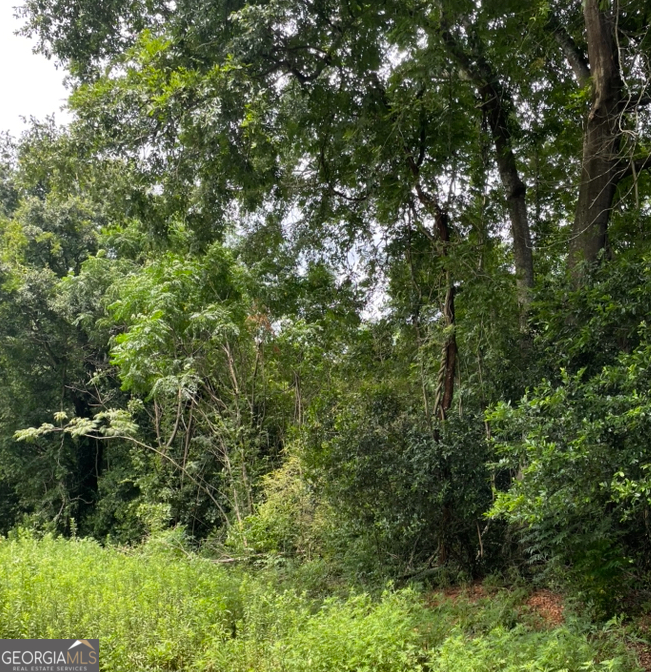 0 Perkins Road Barnesville, GA 30204 - Photo 1 of 5