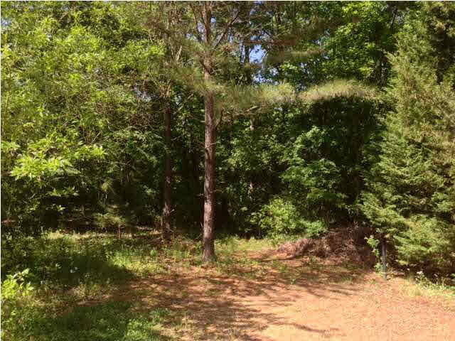 106 Lake Stephens Road Canton, MS 39046 - Photo 19 of 22 Photo 19