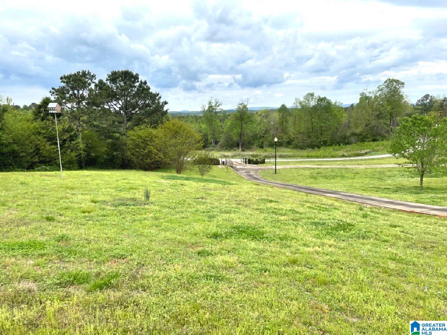 2509 Lees Bridge Road Delta, AL 36258 - Photo 25 of 45