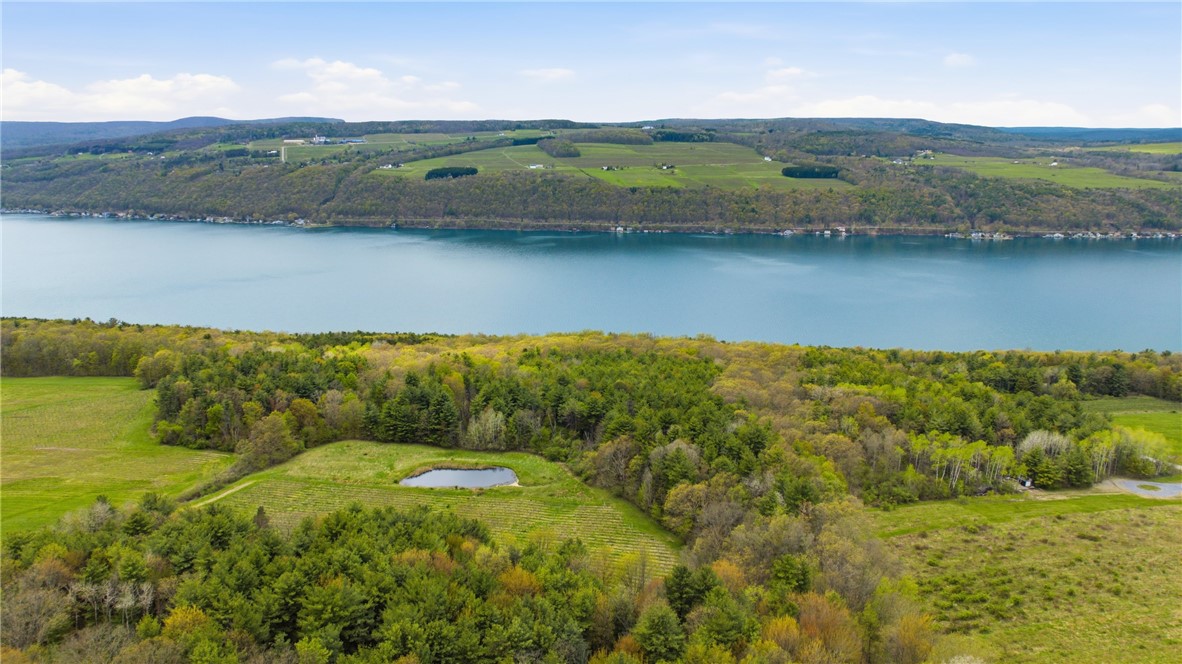 Silvernail Road Hammondsport, NY 14840 - Photo 13 of 25