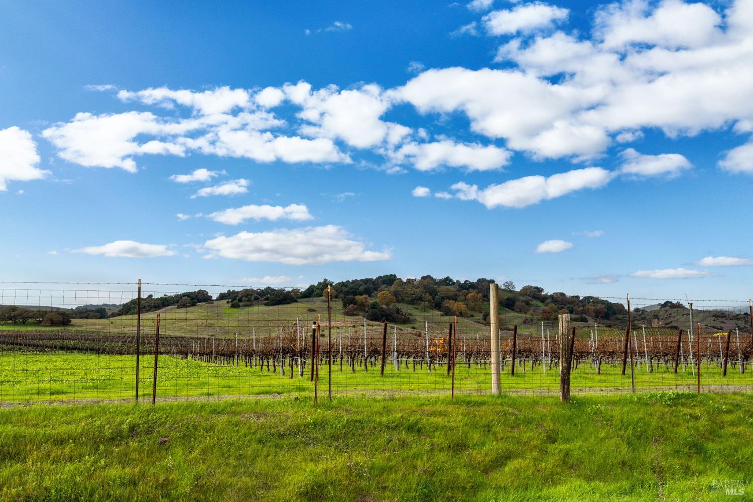 132 Bear Flag Road Sonoma, CA 95476 - Photo 26 of 27