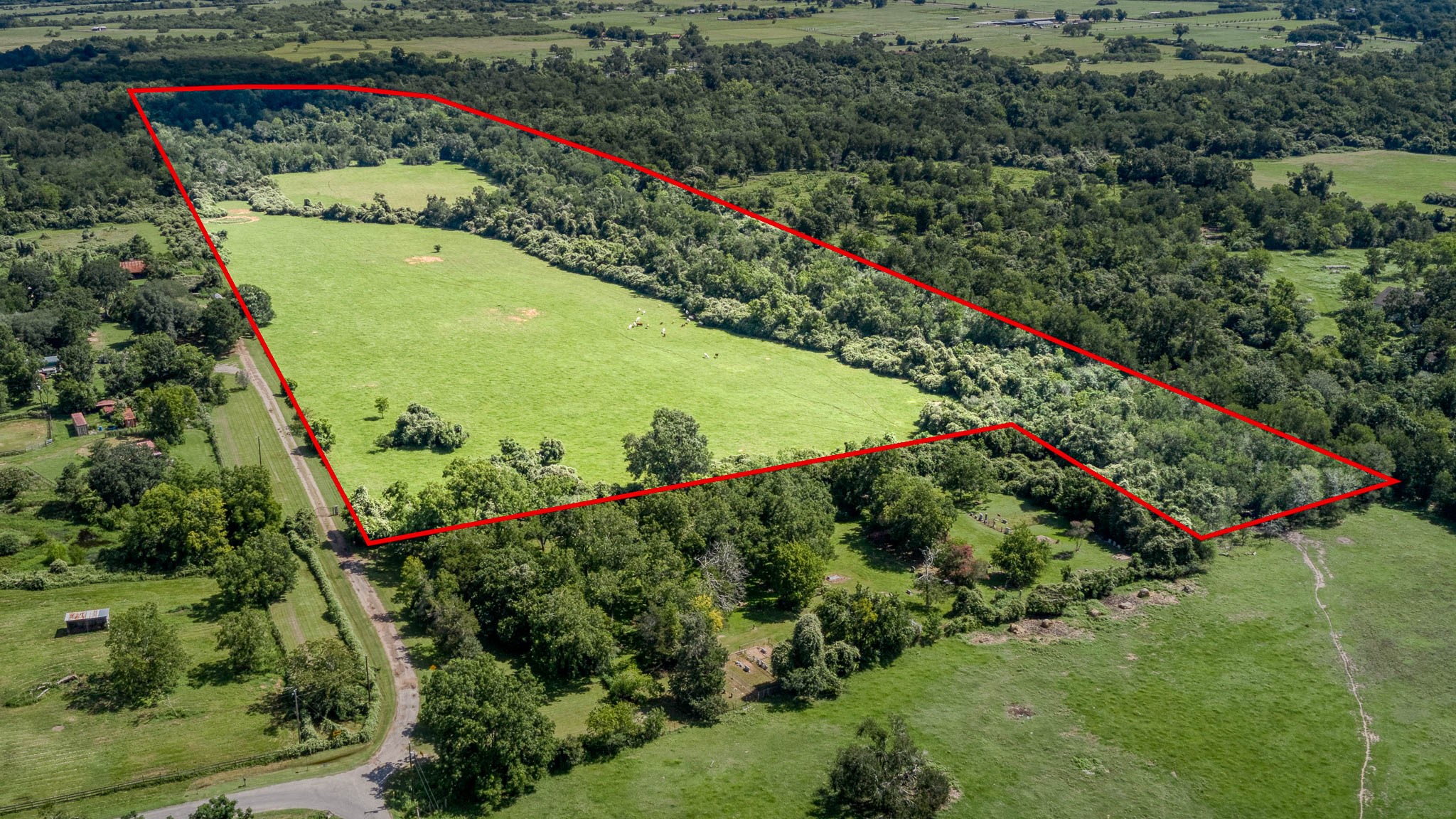 a view of a garden with a flower garden