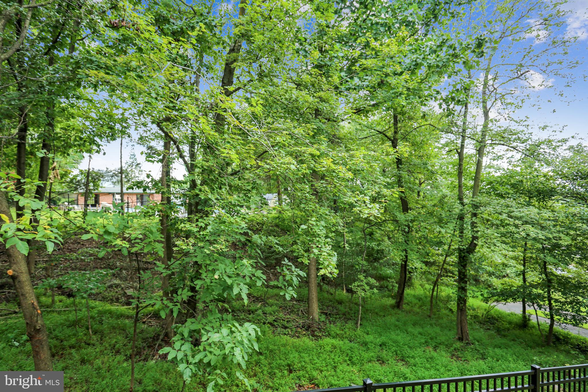 102 Ridgepoint Place Gaithersburg, MD 20878 - Photo 39 of 57 One of may panoramic wooded views