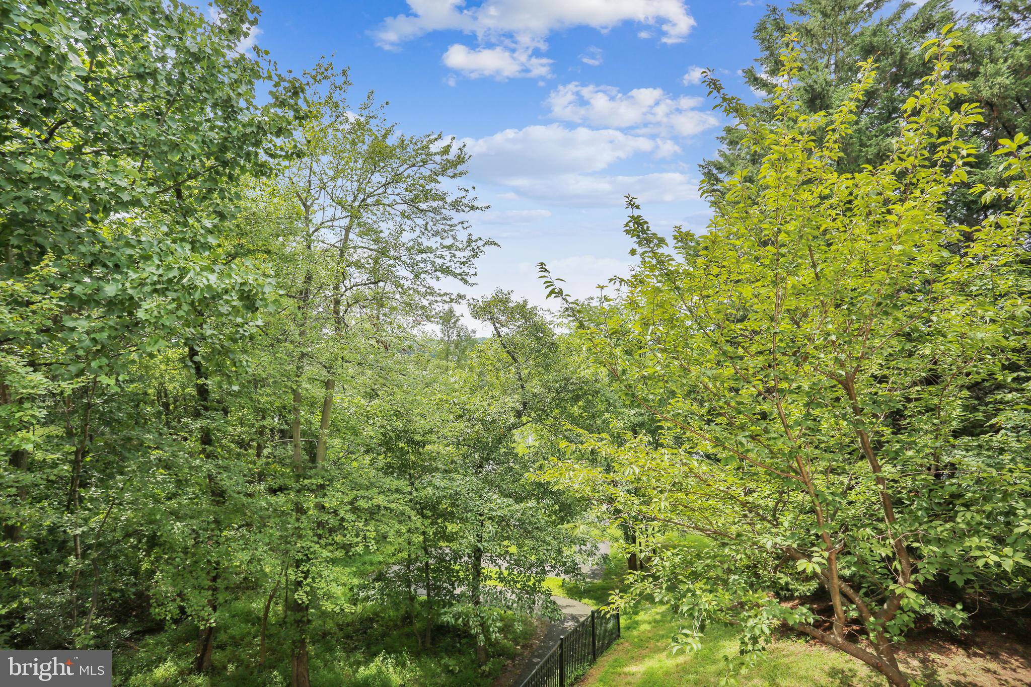 102 Ridgepoint Place Gaithersburg, MD 20878 - Photo 41 of 57 Sunsets, Sugarloaf, & fireworks views