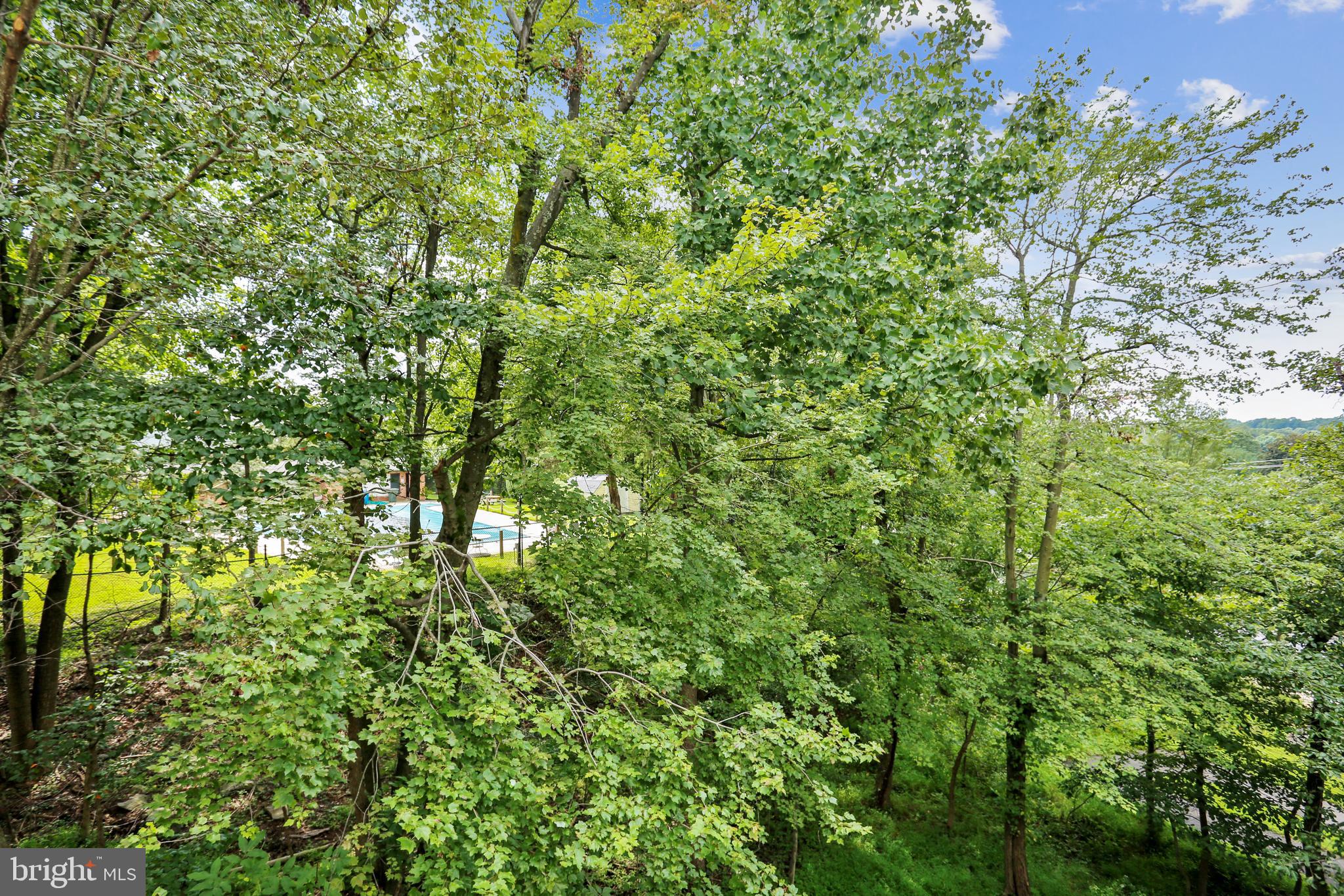 102 Ridgepoint Place Gaithersburg, MD 20878 - Photo 42 of 57 Treetop views from almost every window