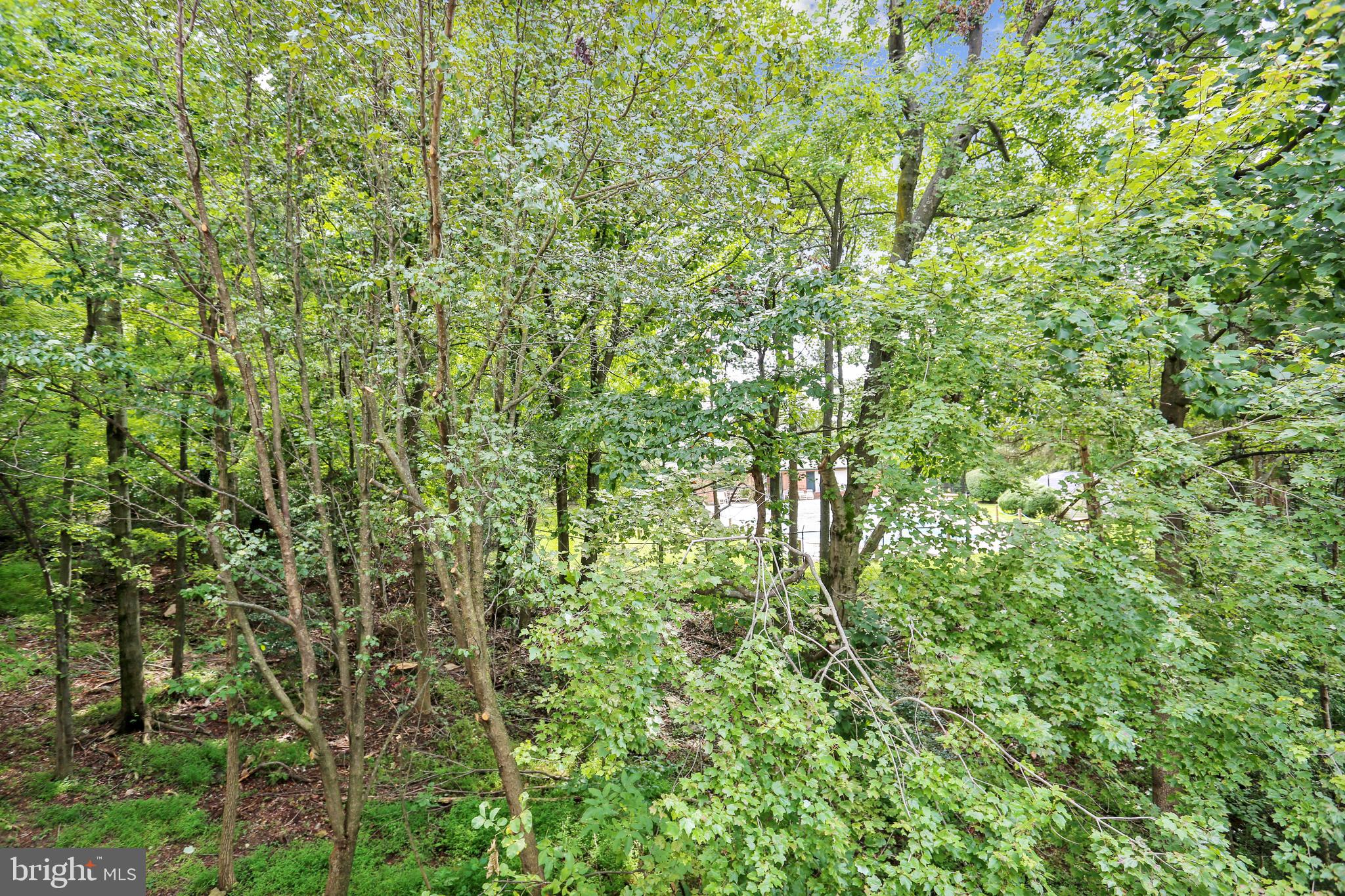 102 Ridgepoint Place Gaithersburg, MD 20878 - Photo 43 of 57 Wooded view from deck