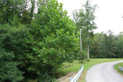 0 Millstone Road Clay City, KY 40312 - Photo 5 of 28 Photo 5